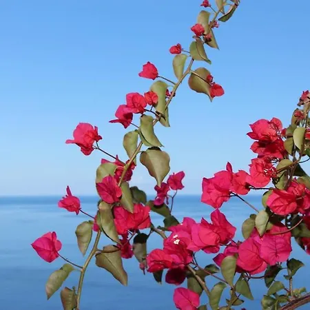 Mar Azul Daire Calheta (Madeira)