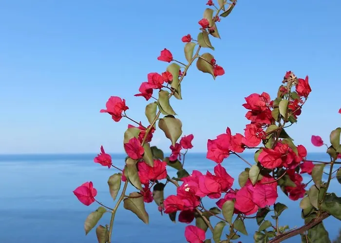 Mar Azul Lejlighed Calheta (Madeira)
